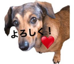 expressive Nuts 2 sticker #15849702