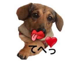 expressive Nuts 2 sticker #15849704