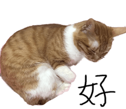 Proud tea tea sticker #15851602