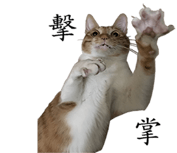 Proud tea tea sticker #15851607