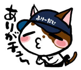 FREEDOM's cats sticker sticker #15853402