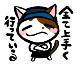 FREEDOM's cats sticker sticker #15853416