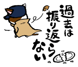 FREEDOM's cats sticker sticker #15853432