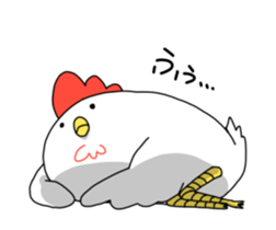 Today's chicken sticker #15853492