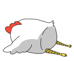 Today's chicken sticker #15853494