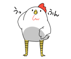 Today's chicken sticker #15853503