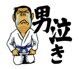 BJJ party Brazilian Jiu Jitsu sticker #15854130