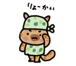 Her name is anzu,tortoiseshell cat. sticker #15854750