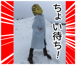 King of taking a picture sticker #15854944