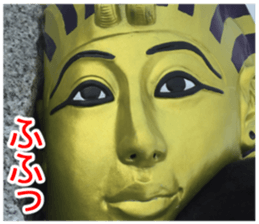 King of taking a picture sticker #15854955