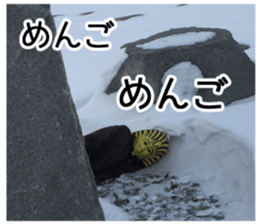 King of taking a picture sticker #15854961