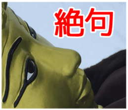 King of taking a picture sticker #15854962