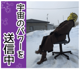 King of taking a picture sticker #15854977