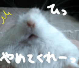 Hamsters "MAME" sticker #15855050