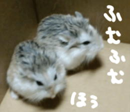 Hamsters "MAME" sticker #15855052