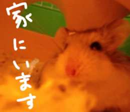 Hamsters "MAME" sticker #15855055