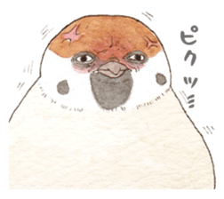 Sparrow's cute sticker sticker #15855254