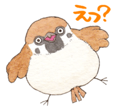 Sparrow's cute sticker sticker #15855257