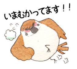 Sparrow's cute sticker sticker #15855261