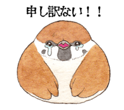 Sparrow's cute sticker sticker #15855264