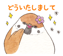 Sparrow's cute sticker sticker #15855275