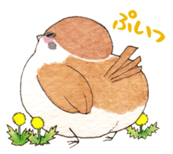 Sparrow's cute sticker sticker #15855282