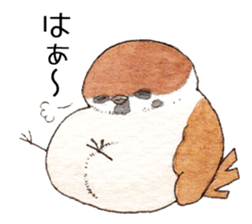 Sparrow's cute sticker sticker #15855288