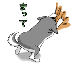 buchakuro sticker #15856148