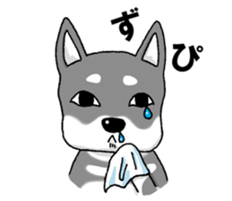 buchakuro sticker #15856151