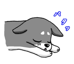 buchakuro sticker #15856167