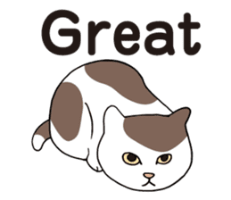 Happy life with a cat (Part2 English) sticker #15856255