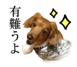 The Party of Various Animals sticker #15857818