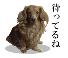 The Party of Various Animals sticker #15857819