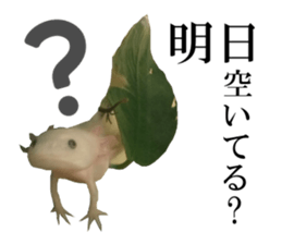 The Party of Various Animals sticker #15857822