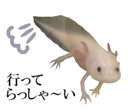 The Party of Various Animals sticker #15857824