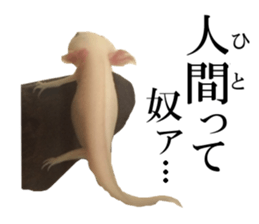 The Party of Various Animals sticker #15857825