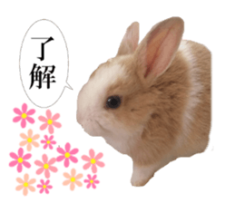 The Party of Various Animals sticker #15857826