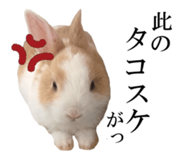 The Party of Various Animals sticker #15857827