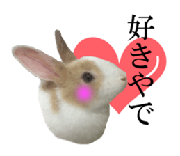 The Party of Various Animals sticker #15857828