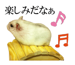 The Party of Various Animals sticker #15857831