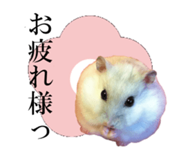 The Party of Various Animals sticker #15857833