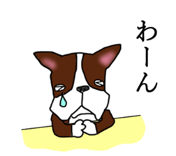 Humble Boston terrier sticker #15858592