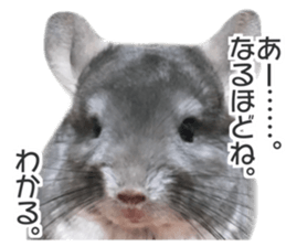 chinchilla's cute sticker vol.2 sticker #15858708
