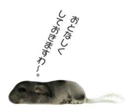 chinchilla's cute sticker vol.2 sticker #15858709
