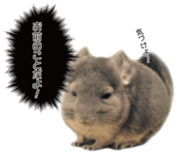 chinchilla's cute sticker vol.2 sticker #15858712