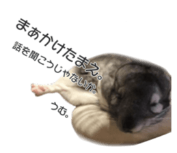 chinchilla's cute sticker vol.2 sticker #15858713