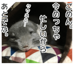 chinchilla's cute sticker vol.2 sticker #15858714