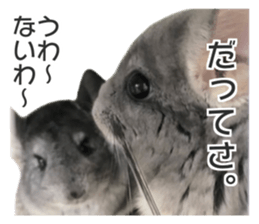 chinchilla's cute sticker vol.2 sticker #15858715