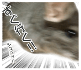 chinchilla's cute sticker vol.2 sticker #15858716