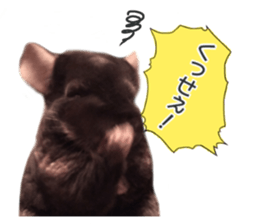 chinchilla's cute sticker vol.2 sticker #15858720